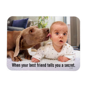 Dog Licking Baby's Ear Magnet
