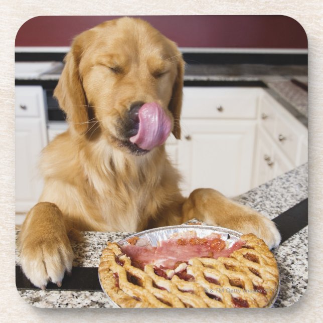 Dog licking nose after eating cherry pie in drink coaster (Front)
