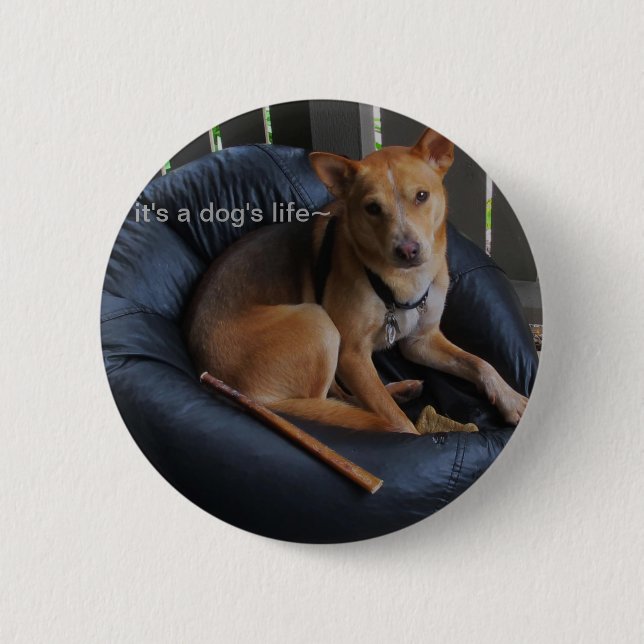 Dog life pinback button (Front)