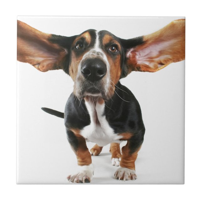 Dog long ears tile (Front)