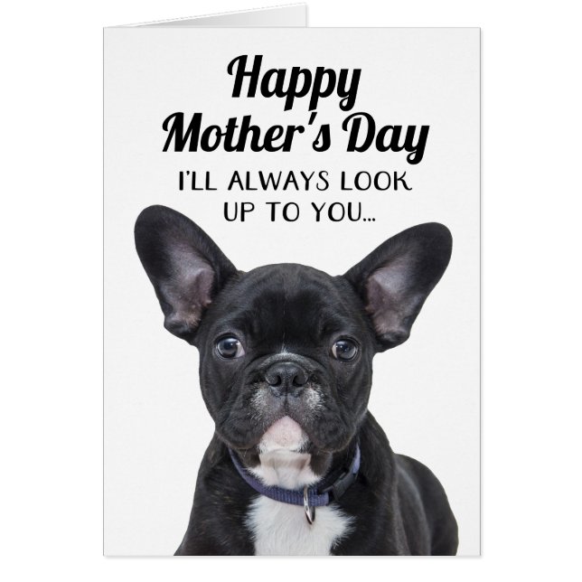 Dog Look Up To You Funny Mother's Day Card (Front)