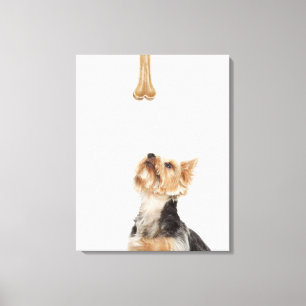 Dog looking up at bone canvas print