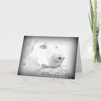 Dog Loss Card
