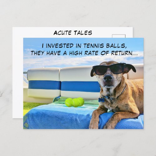 Dog Love Tennis Balls Funny Vacation Retirement   Postcard