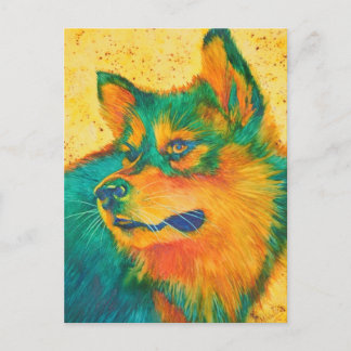 Dog Lover Alaskan Malamute Colorful Postcards