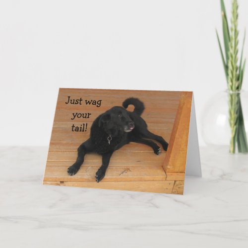 Dog Lover Belated Birthday Card