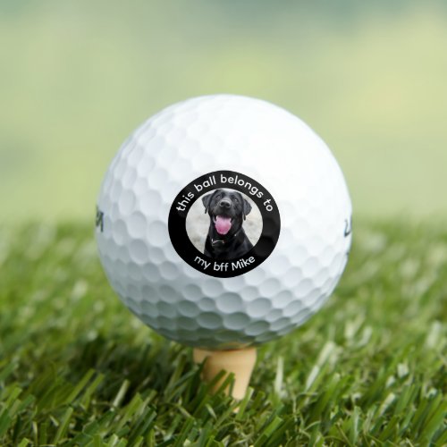 Dog Lover Bff Custom Photo  Golf Balls