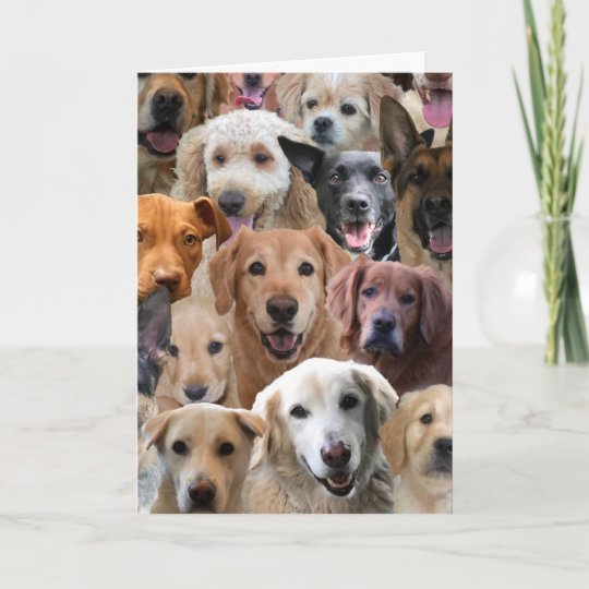 Dog Lover Birthday Card | Zazzle