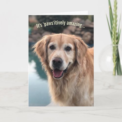 Dog Lover Birthday Card