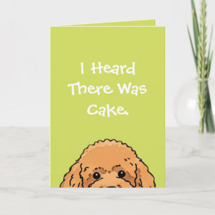 Dog Lover Birthday Card   Cute Poodle design 