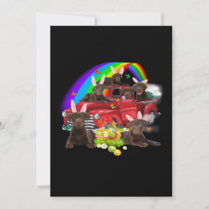 Dog Lover   Bunny Chocolate Labrador Easter Day Card