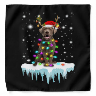 Dog Lover Chocolate Labrador Christmas Light Bandana