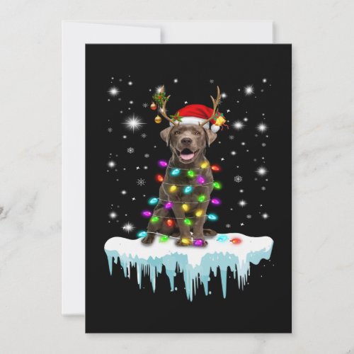 Dog Lover  Chocolate Labrador Christmas Light Card