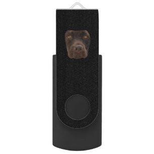 Dog Lover Chocolate Labrador Dark Brown Dog Face Flash Drive