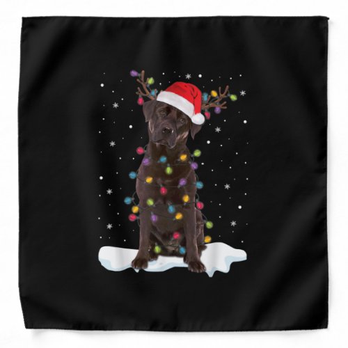 Dog Lover  Chocolate Labrador Retriever Christmas Bandana