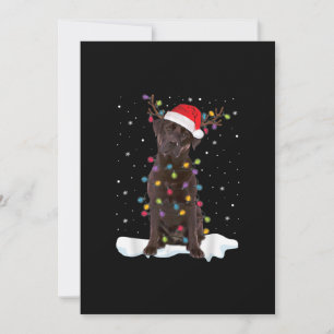 Dog Lover Chocolate Labrador Retriever Christmas Card