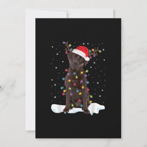 Dog Lover  Chocolate Labrador Retriever Christmas Card