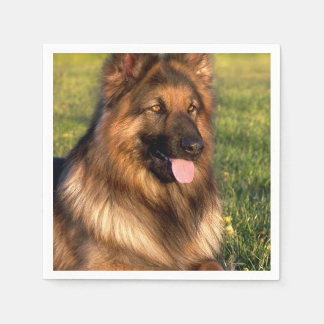 Dog Lover Custom Personalized Pet Photo Napkins (Front)