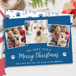 Dog Lover Custom Pet Photos Woof Merry Christmas Holiday Card<br><div class="desc">Looking for a unique way to spread holiday cheer this season? Look no further than our We Woof You a Merry Christmas pet photo holiday cards! Our "We Woof You a Merry Christmas" card is both cute and modern, featuring a fun and festive message that's sure to spread holiday cheer....</div>