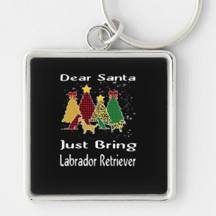 Dog Lover Dear Santa Just Bring Labrador Retriever Keychain