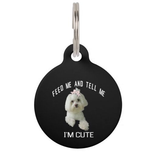 Dog Lover  Feed Me And Tell Me Im Cute Maltese Pet ID Tag