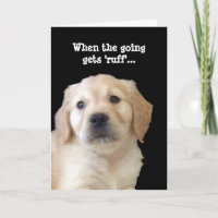 Dog Lover Get Well Card