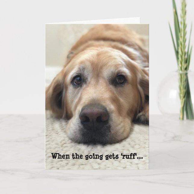 Dog Lover Get Well Card (Front)