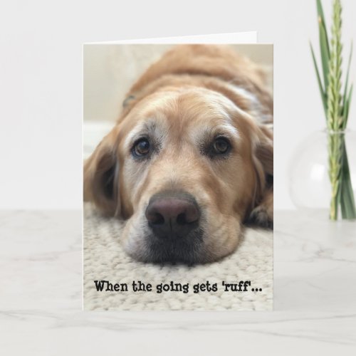 Dog Lover Get Well Card