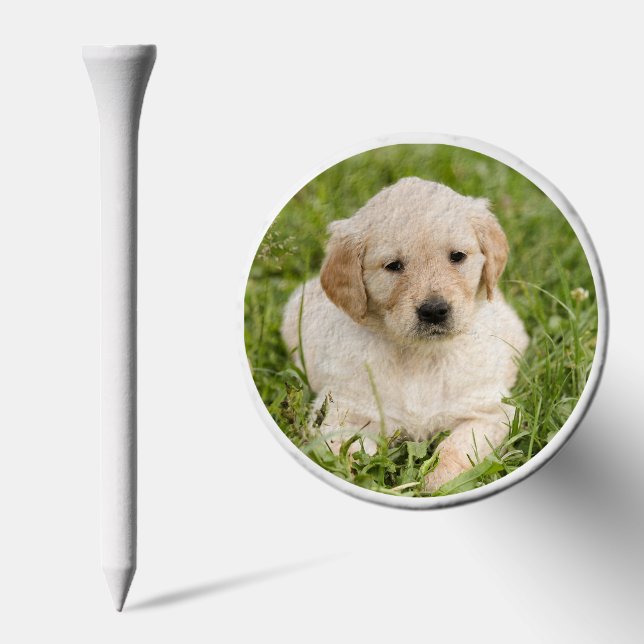 Dog Lover Golf Gift Custom Pet Photo Wooden  Golf Tees (Combo)