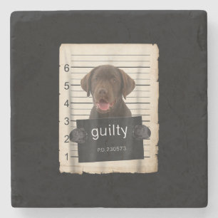 Dog Lover   Guilty Chocolate Labrador Bad Dog Stone Coaster