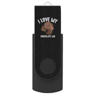 Dog Lover I Love My Chocolate Lab Flash Drive