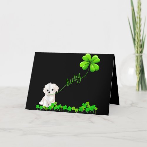 Dog Lover  Irish Shamrock Lucky With Cute Maltese Holiday Card