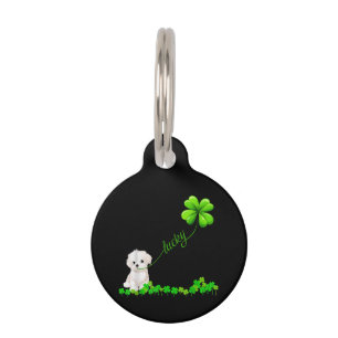 Dog Lover   Irish Shamrock Lucky With Cute Maltese Pet ID Tag