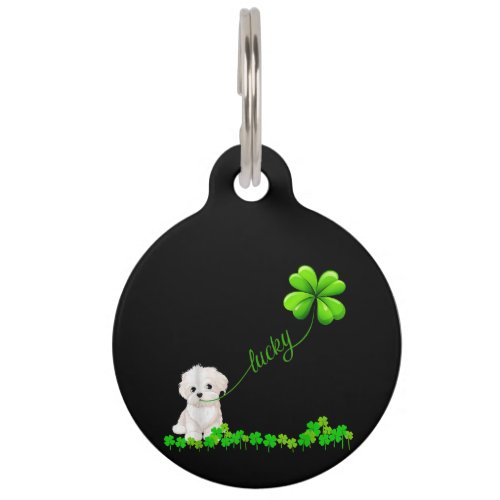 Dog Lover  Irish Shamrock Lucky With Cute Maltese Pet ID Tag
