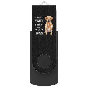 Dog Lover Labrador I Didn't Fart I Blew You A Kiss Flash Drive