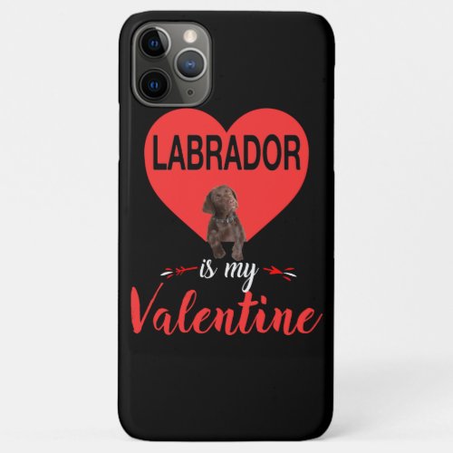 Dog Lover  Labrador Is My Valentine iPhone 11 Pro Max Case