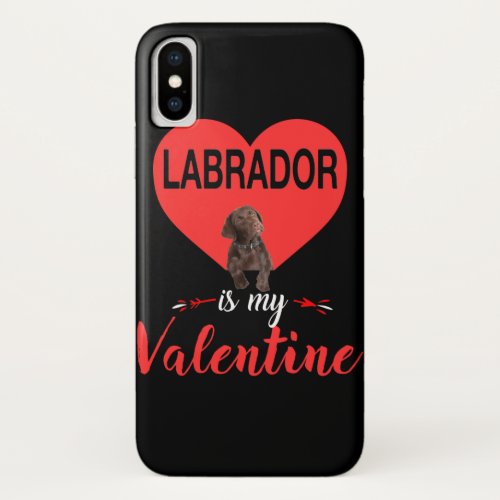 Dog Lover  Labrador Is My Valentine iPhone XS Case