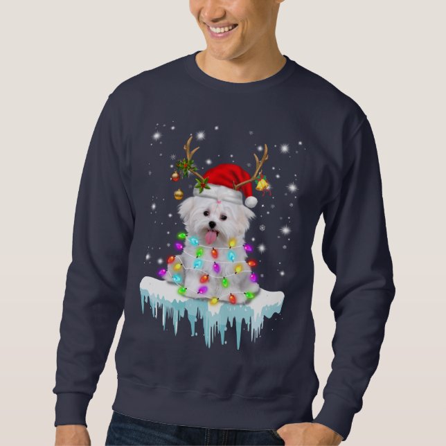 Dog Lover |Maltese Christmas Fairy Light In Winter Sweatshirt (Front)
