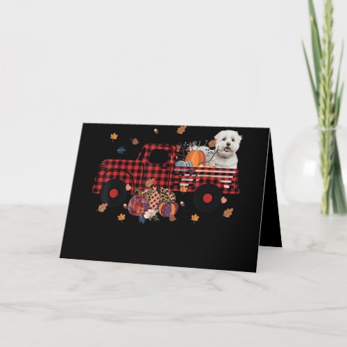Dog Lover  Maltese Pumpkin Truck Thanksgiving Holiday Card