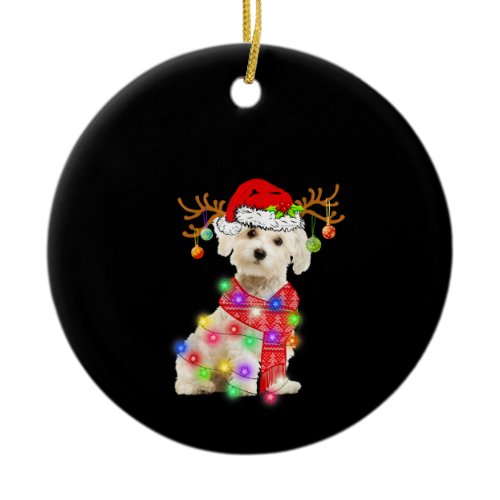 Dog Lover | Maltese Santa Hat Xmas Fairy Light Ceramic Ornament