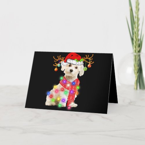 Dog Lover  Maltese Santa Hat Xmas Fairy Light Holiday Card