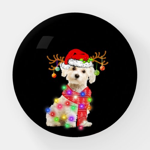 Dog Lover  Maltese Santa Hat Xmas Fairy Light Paperweight