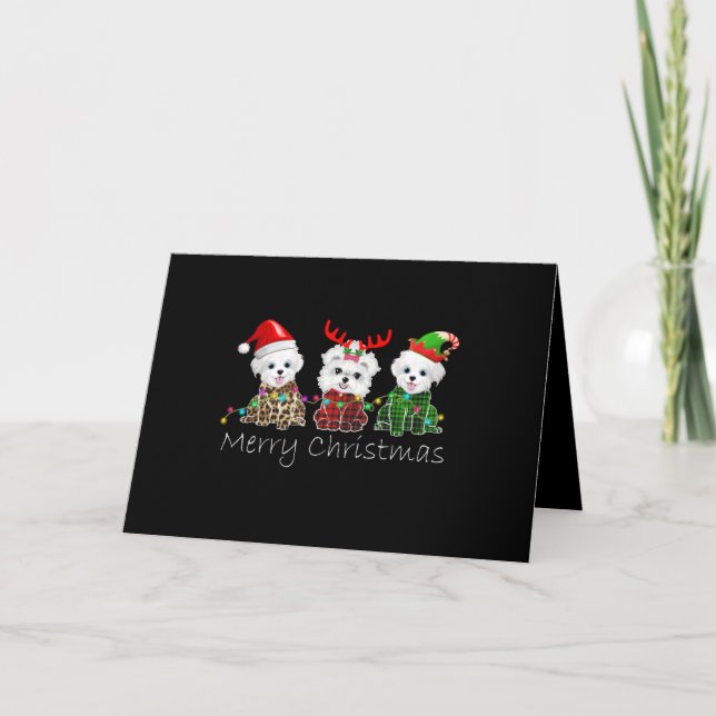 Dog Lover | Merry Christmas Maltese Holiday Card (Front)
