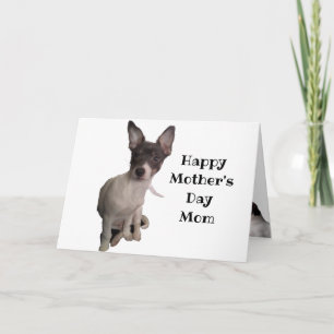 DOG LOVER MOTHER'S DAY  CARD
