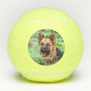 Dog Lover - Pet Photo Dog Dad Dog Photo Tennis Balls