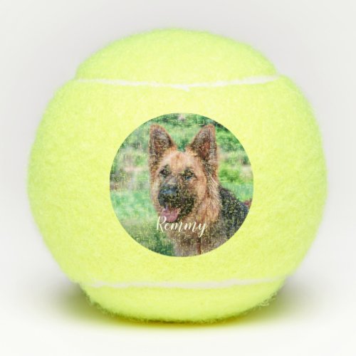 Dog Lover _ Pet Photo Dog Dad Dog Photo Tennis Balls