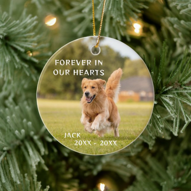 Dog Lover Photo Pet Memory Ornament (Tree)