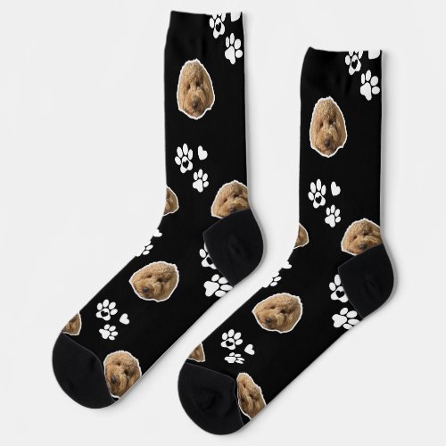 dog lover photo socks for dad