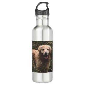 Dog lover product stainless steel water bottle