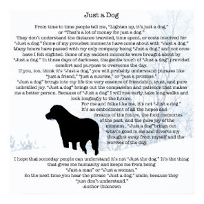 Dog Lover Quote - Best Friend - Dog Quote Poster